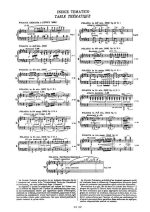 13 Polacche - Image 3