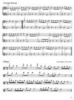 Early Start on the Viola V4 - Image 3