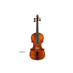 Hofner Violin Outfit - H215 B.G "Guadagnini"